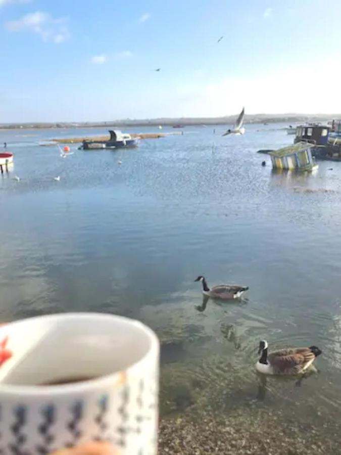 Holes Bay Nature Reserve, Poole, Right Next To The Water Zewnętrze zdjęcie